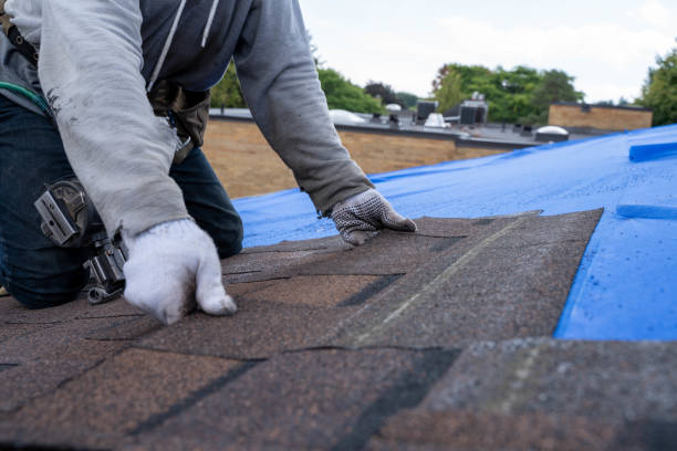 Best Metal Roofing Contractor  in Rossville, IN