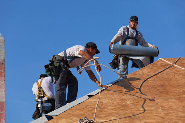 Best Flat Roof Repair Services  in Rossville, IN