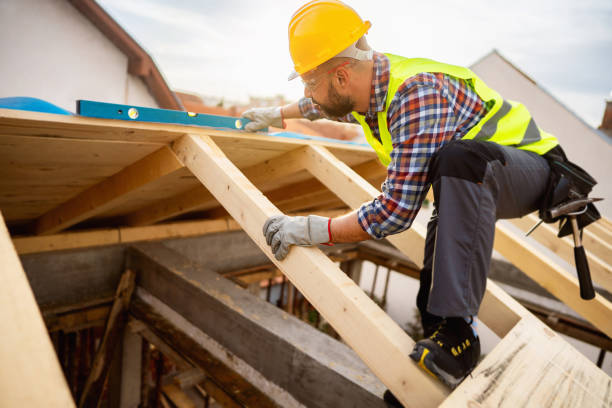 Roof Gutter Cleaning in Rossville, IN