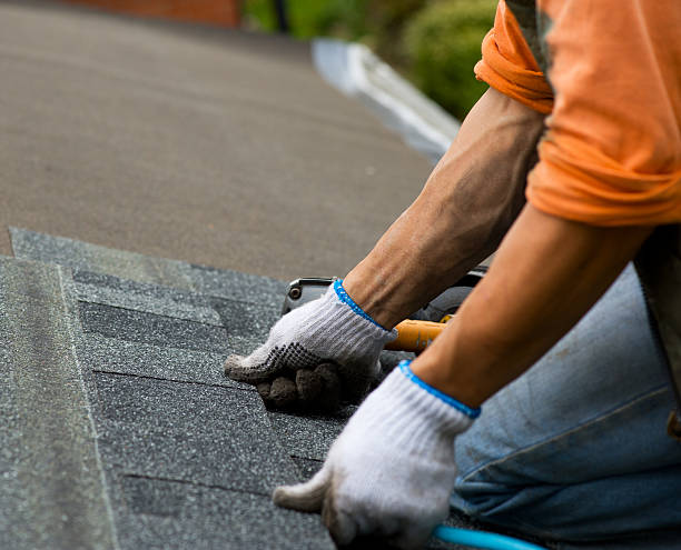 Best Roof Gutter Cleaning  in Rossville, IN