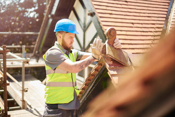 Best Roof Leak Repair  in Rossville, IN