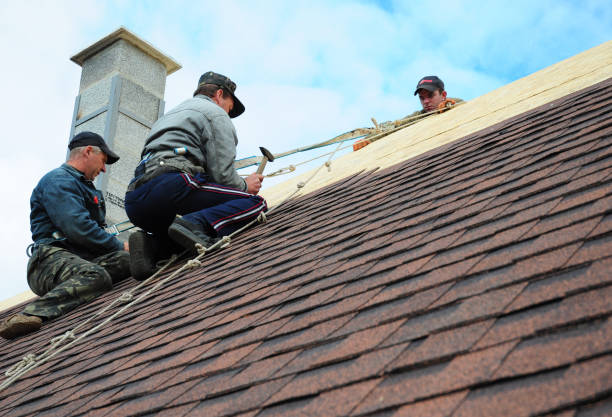 Best Commercial Roofing Services  in Rossville, IN